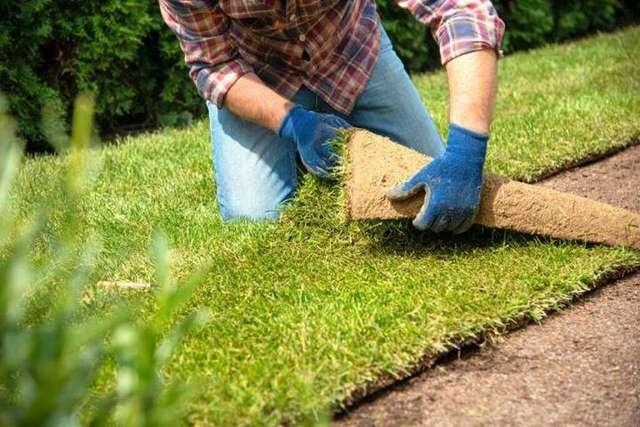 Sod Installation - Angler Lawn and Landscape Fort Lauderdale – Angler Lawn & Landscape