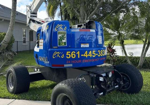 Blue monster truck with promotional graphics parked outdoors. – CK's Tree Service
