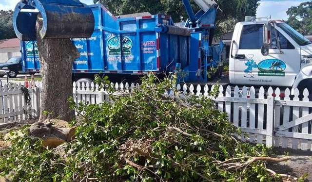 Photo photo – CK's Tree Service