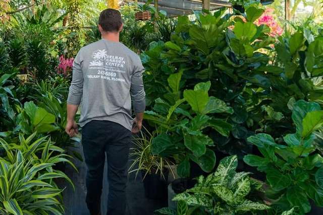 Delray Garden Center team member in the nursery – Delray Garden Center