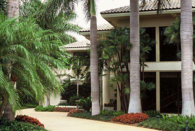Project photo – Dias Brothers Landscape Services