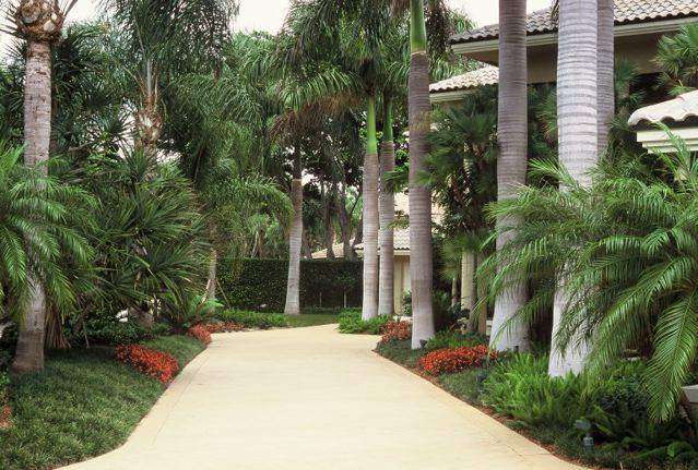 Project photo – Dias Brothers Landscape Services