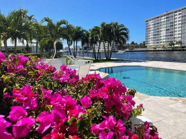 Bougainvillea and tropical waterfront landscape in Delray Beach by Florida Boys Lawn & Landscape – Florida Boys Lawn & Landscape