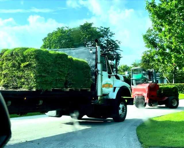 Photo photo – Florida Sod Suppliers