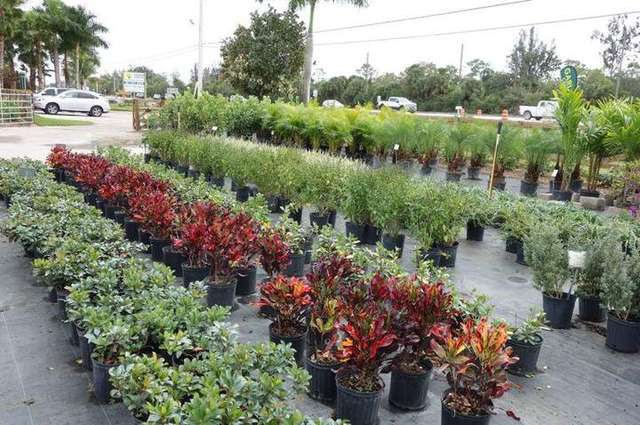 Landscape project by GVI Sod