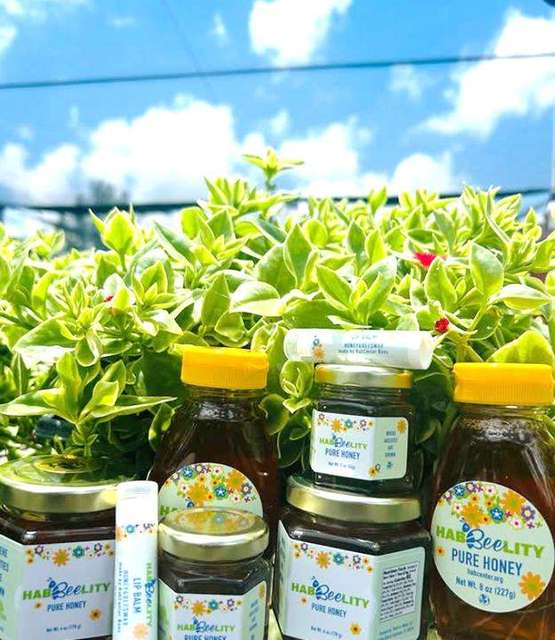 Photo photo – HabBloom Plant Nursery (HabCenter)