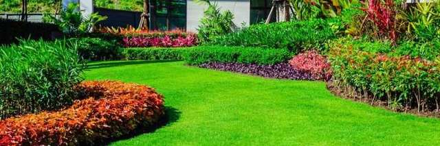 Photo photo – Landscape Manager
