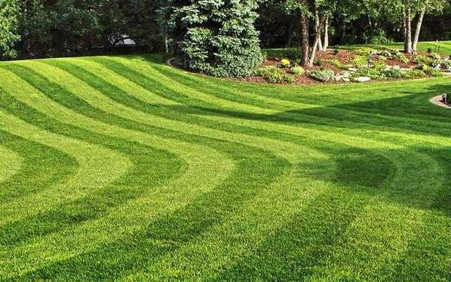 Lawn Care & Weekly Mowing in Lake Worth, Florida – Outfront Landscaping