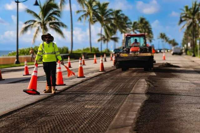 Lotus Palm Project – The Paving Lady
