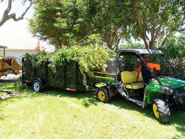 Sherlock Tree Company crew member in orange safety gear driving a John Deere Gator towing a trailer full of tree debris  – Sherlock Tree Company
