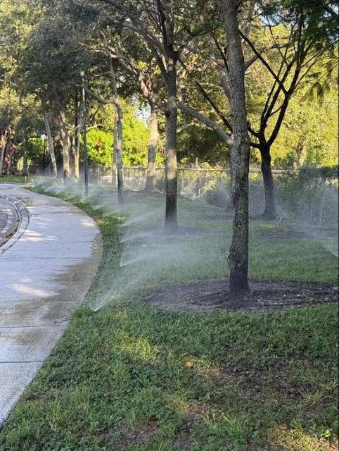Photo photo – TWQ Landscaping