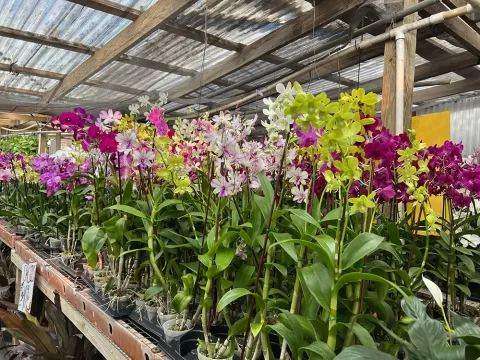 Project photo – Urban Farm Mart (formerly Pineland Nursery)
